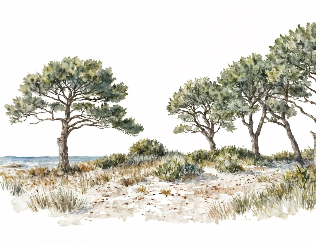 Image croppée