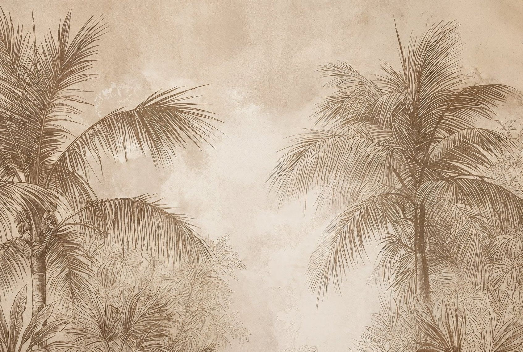 Terra Palmera
