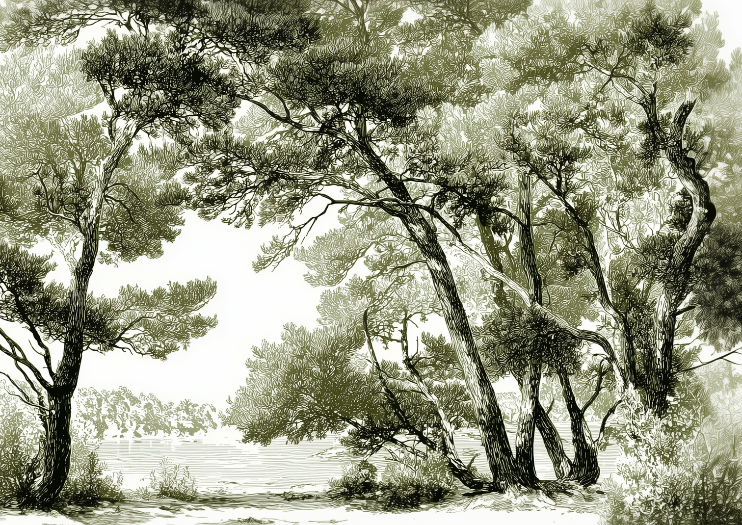 Image croppée