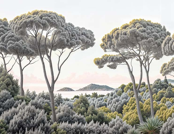 Image croppée