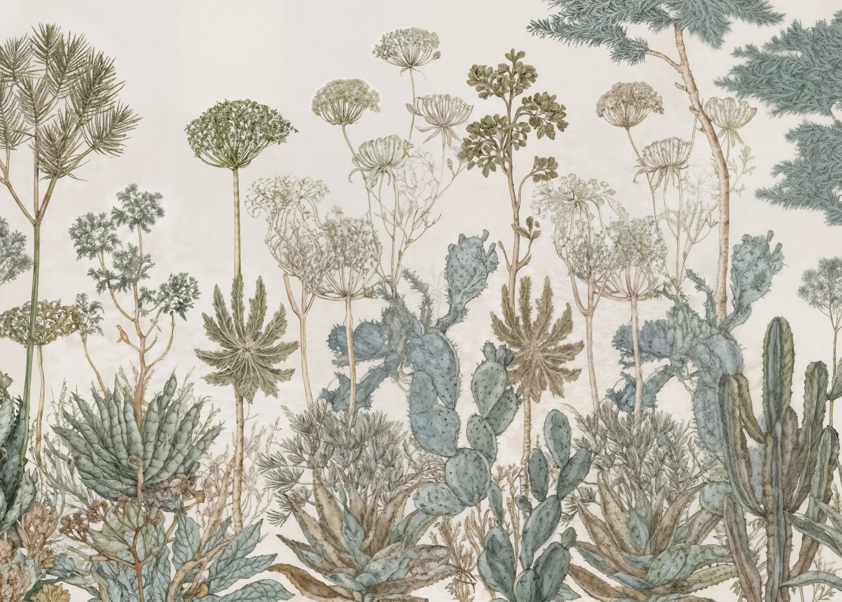 Herbarium Cactus