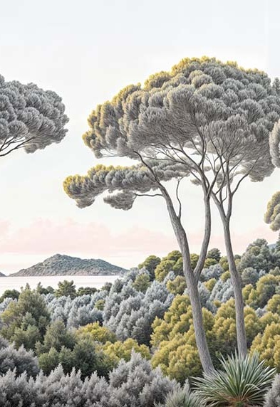 Image croppée