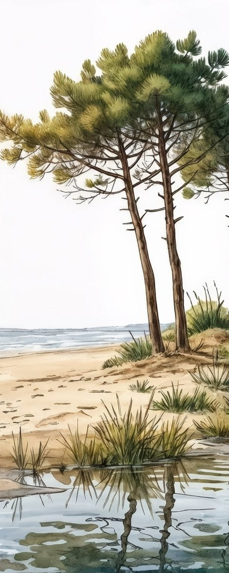 Image croppée
