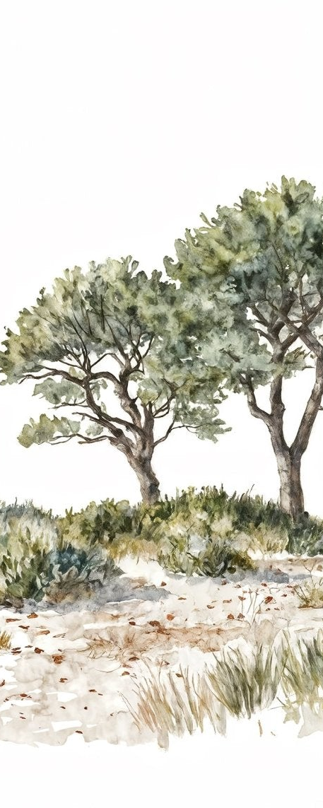 Image croppée