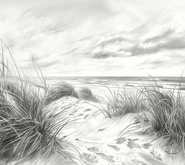 Image croppée