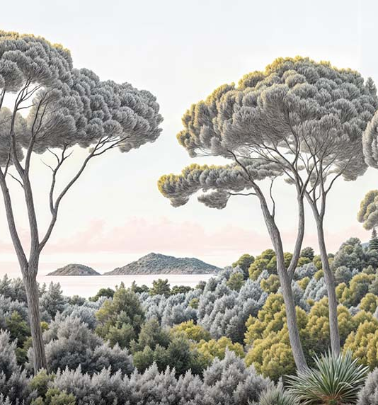 Image croppée