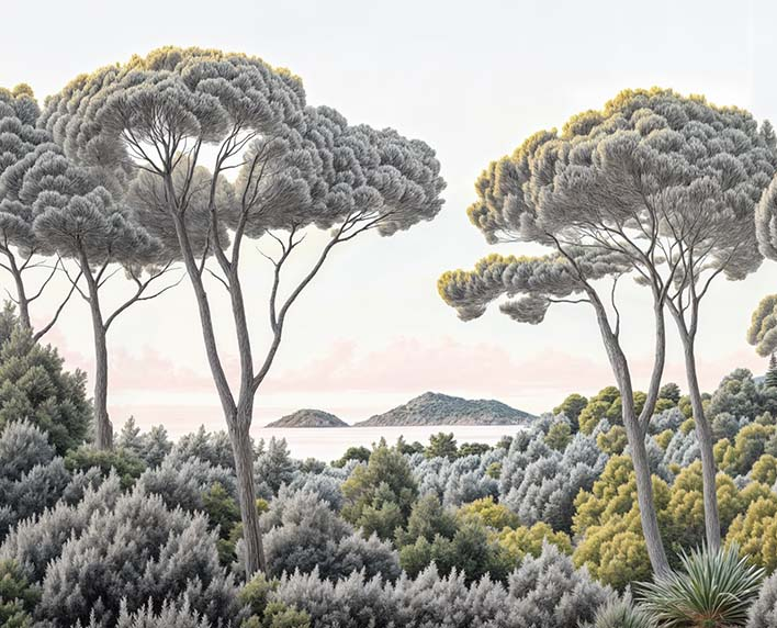 Image croppée