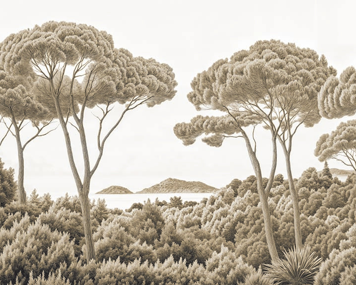 Image croppée
