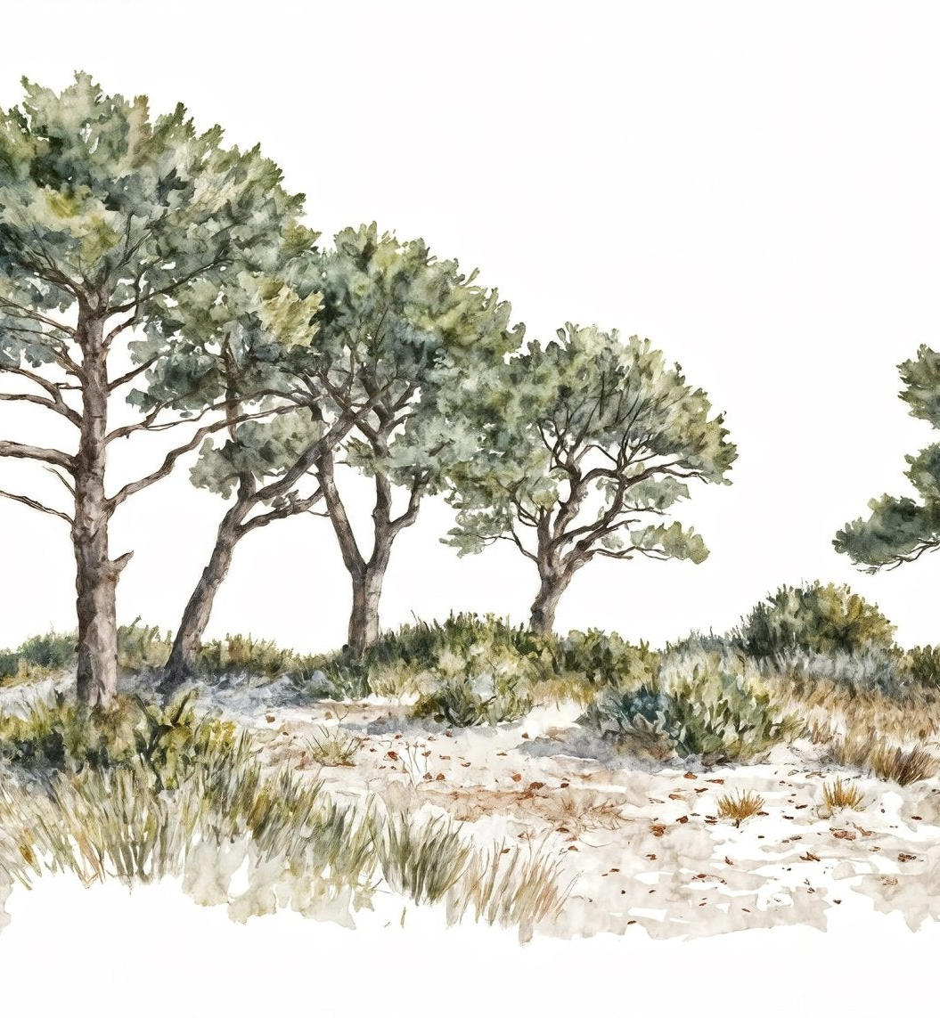 Image croppée
