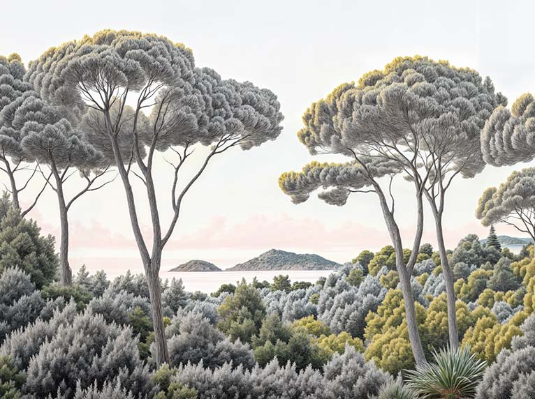 Image croppée