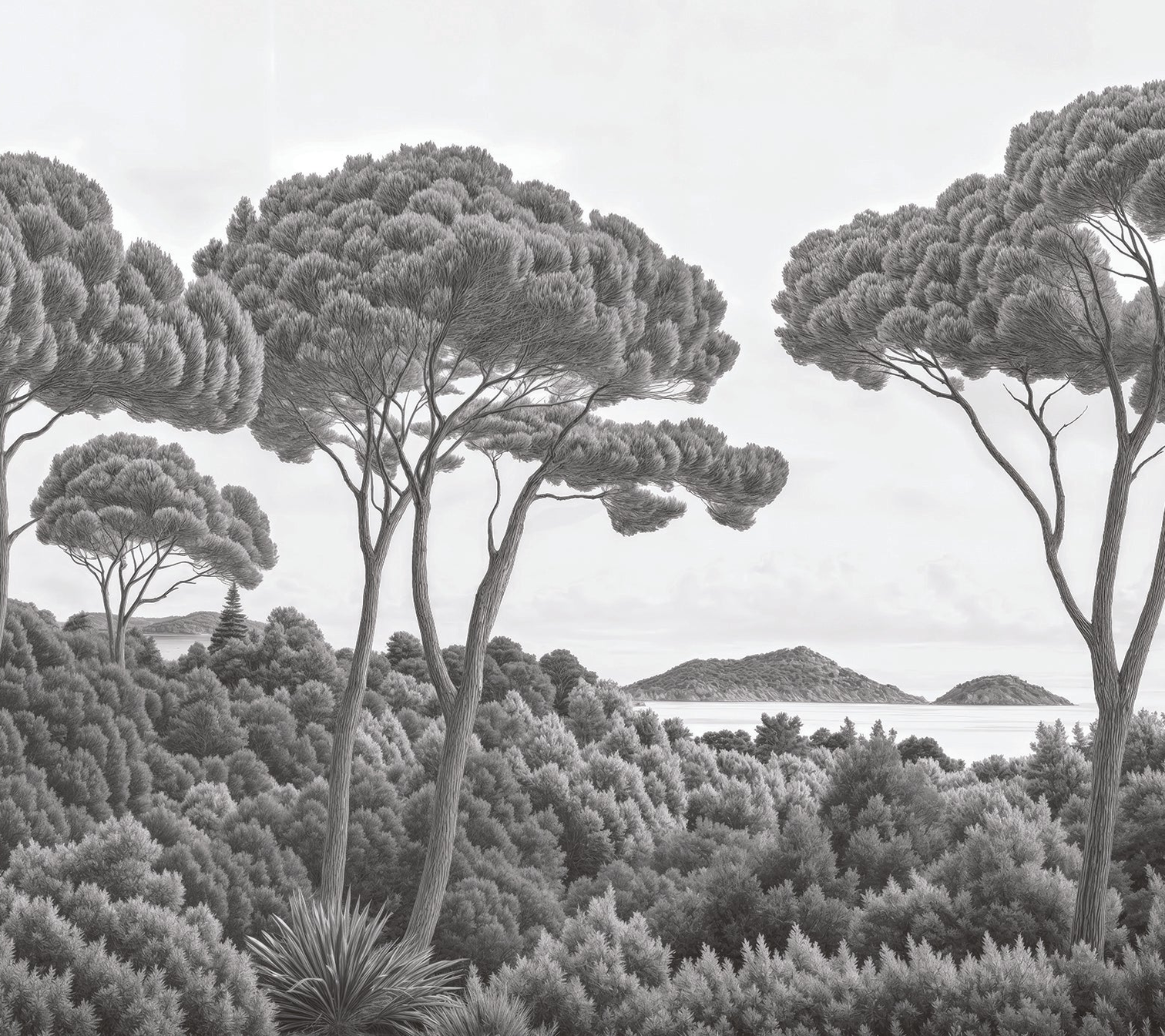 Image croppée