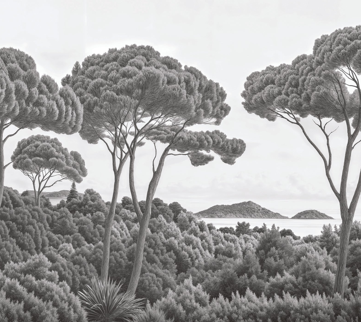 Image croppée