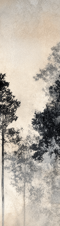 Image croppée