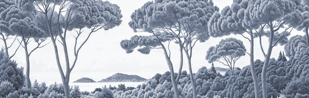 Image croppée