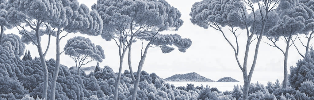 Entre pins et mer cyanotype