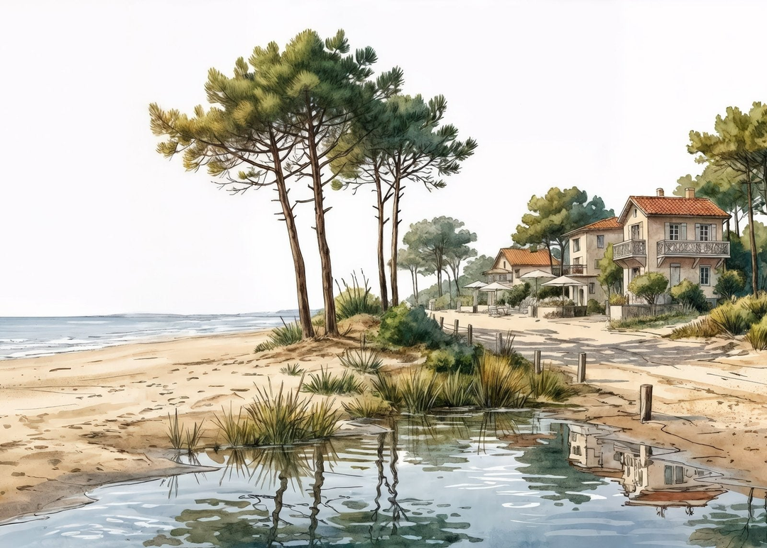 Image croppée