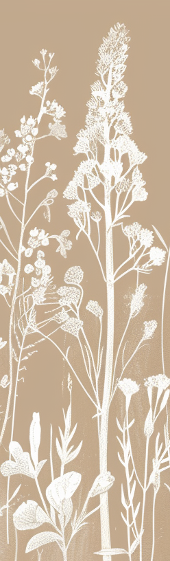 Jardin secret Terracotta
