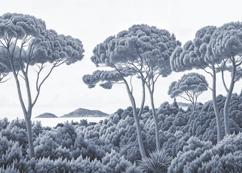 Image croppée