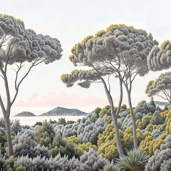 Image croppée