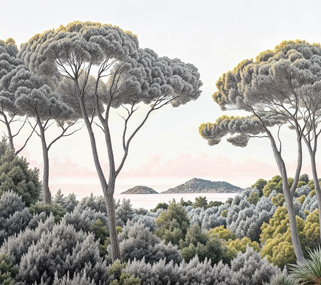 Image croppée