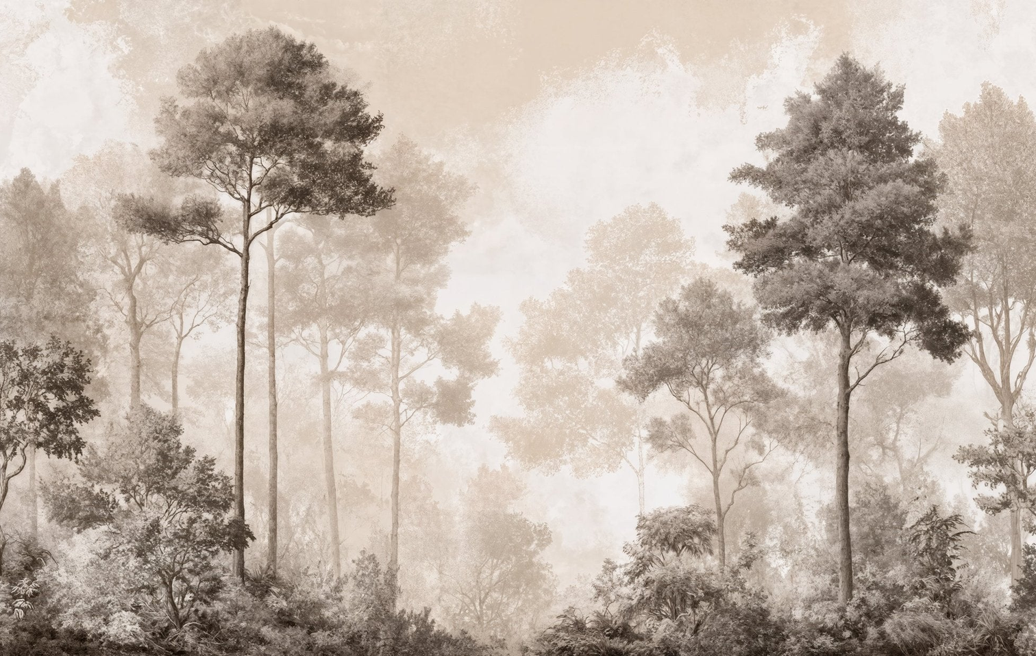 Image croppée