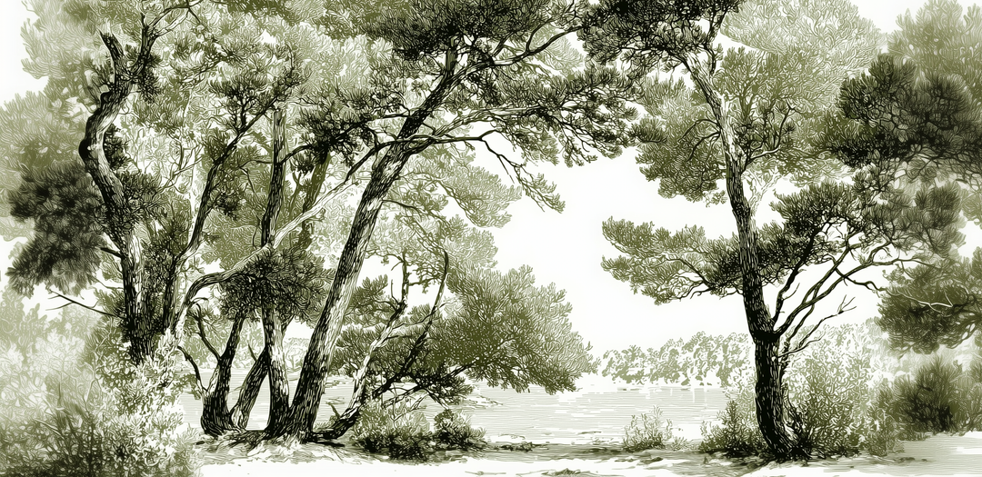 Image croppée
