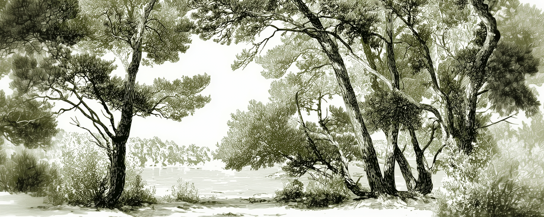 Image croppée