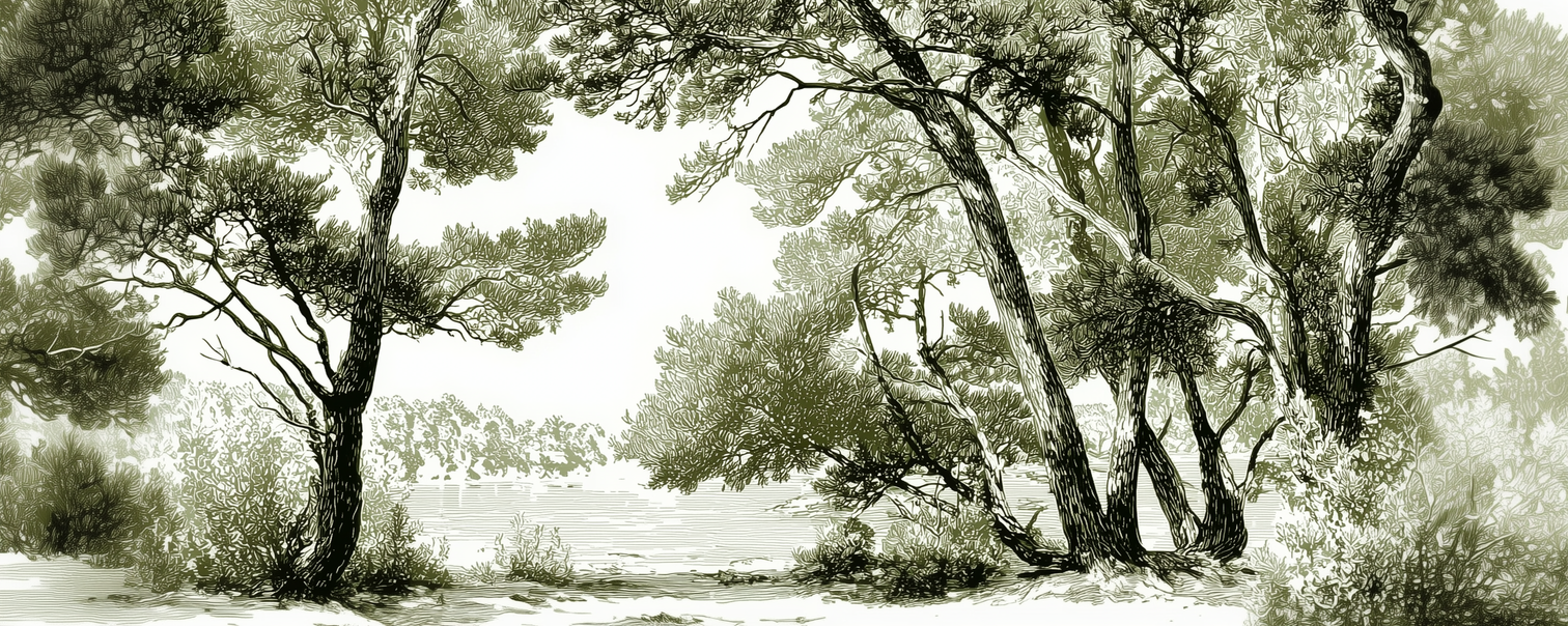 Image croppée