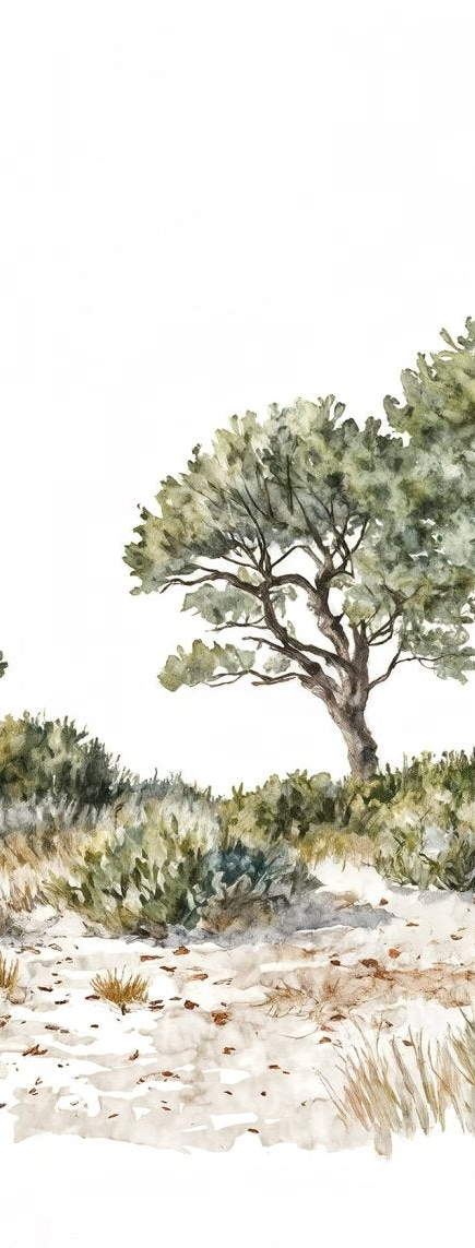 Image croppée