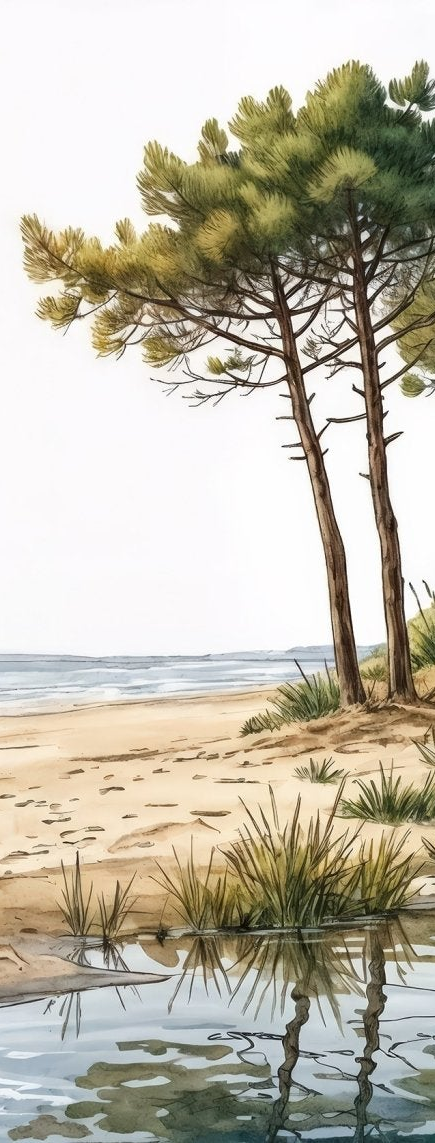 Image croppée