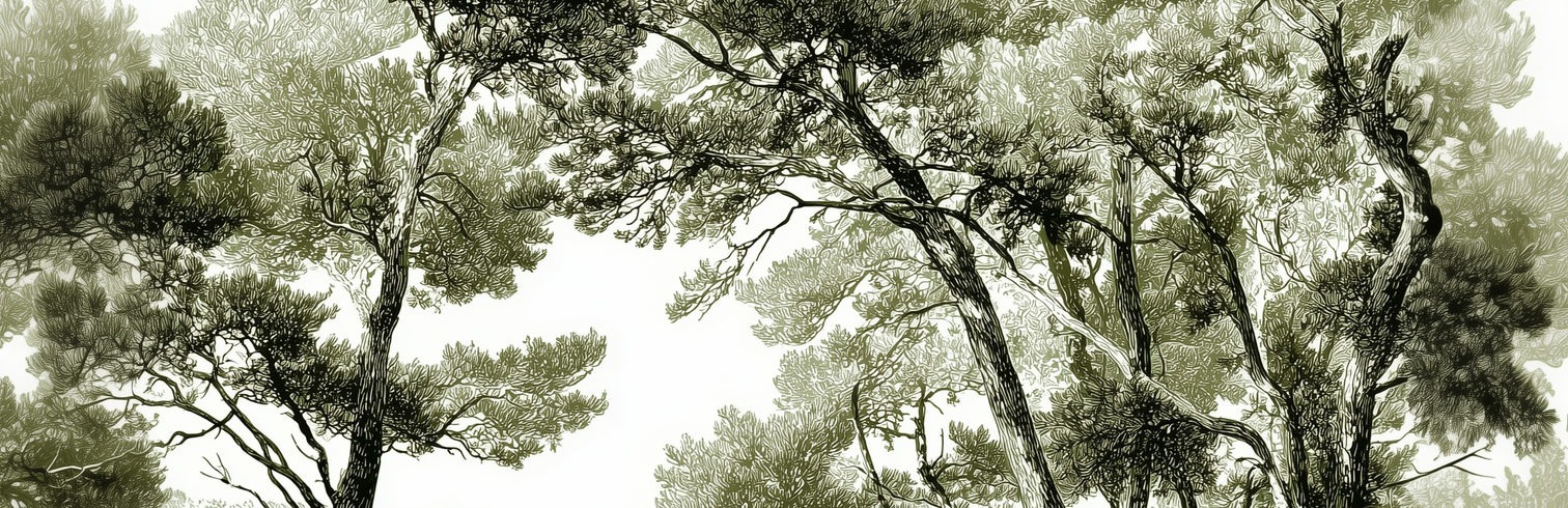 Image croppée