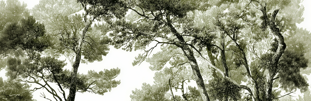 Image croppée