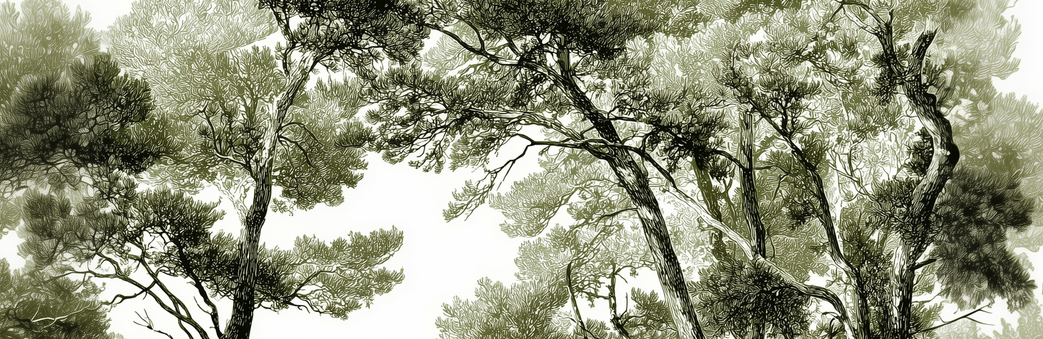 Image croppée