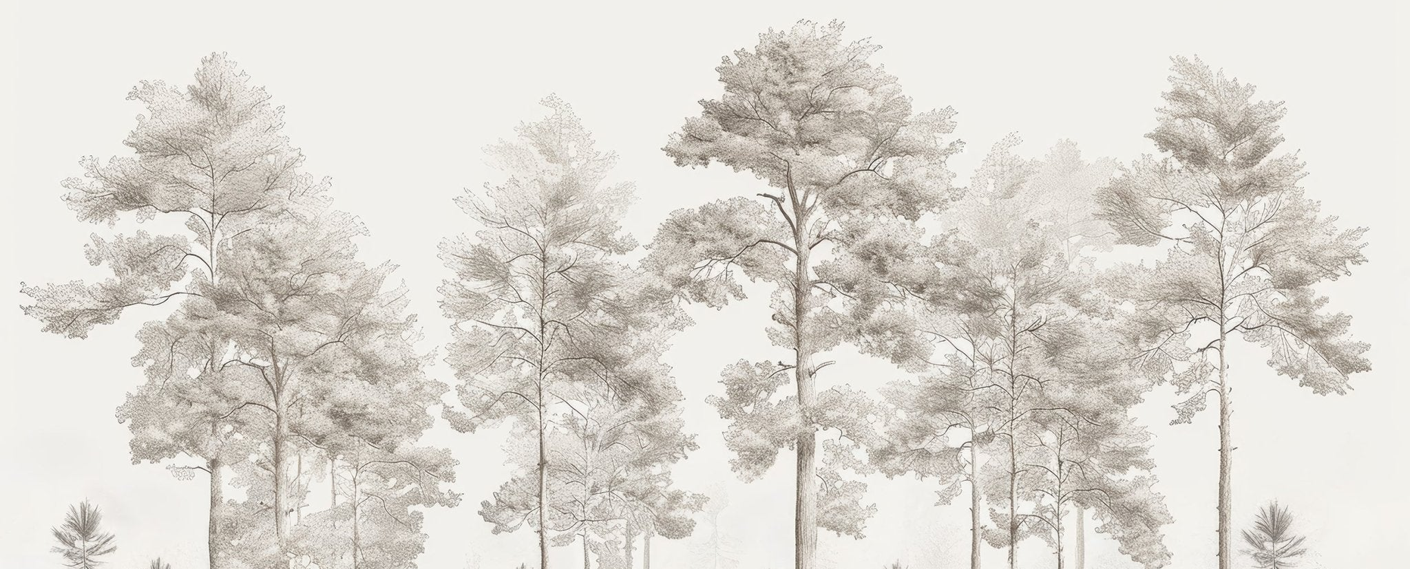 Douceurs des bois