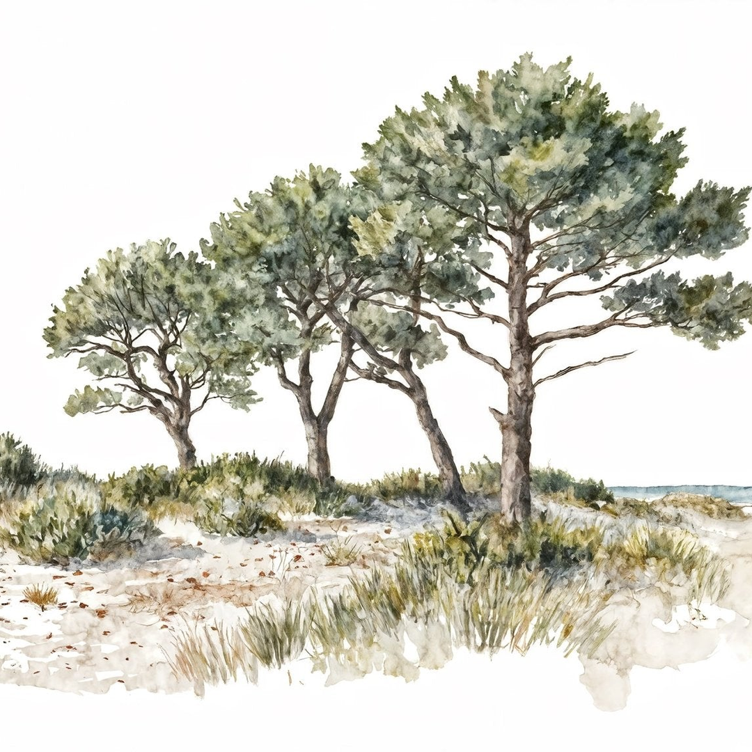 Image croppée