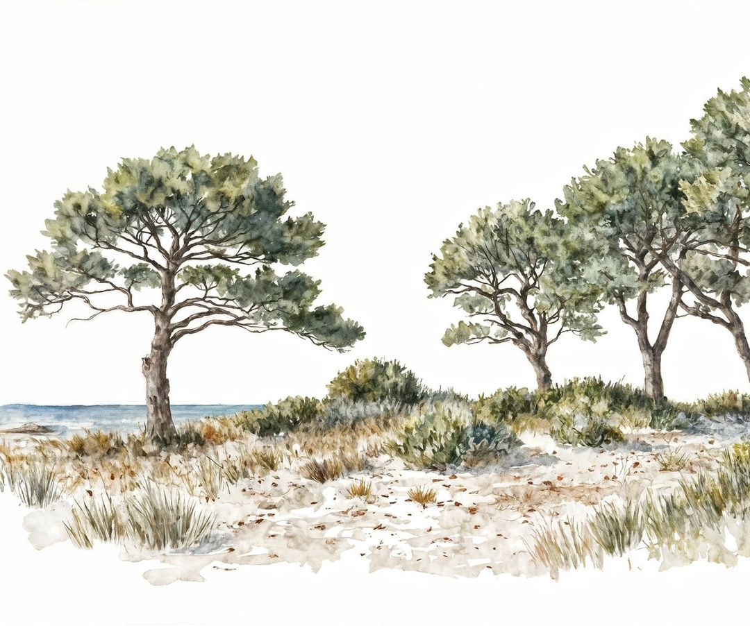 Image croppée