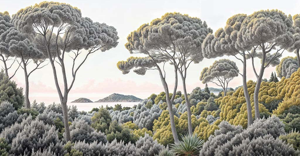 Image croppée
