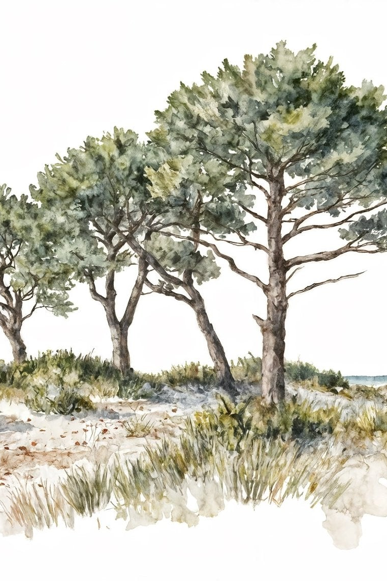 Image croppée