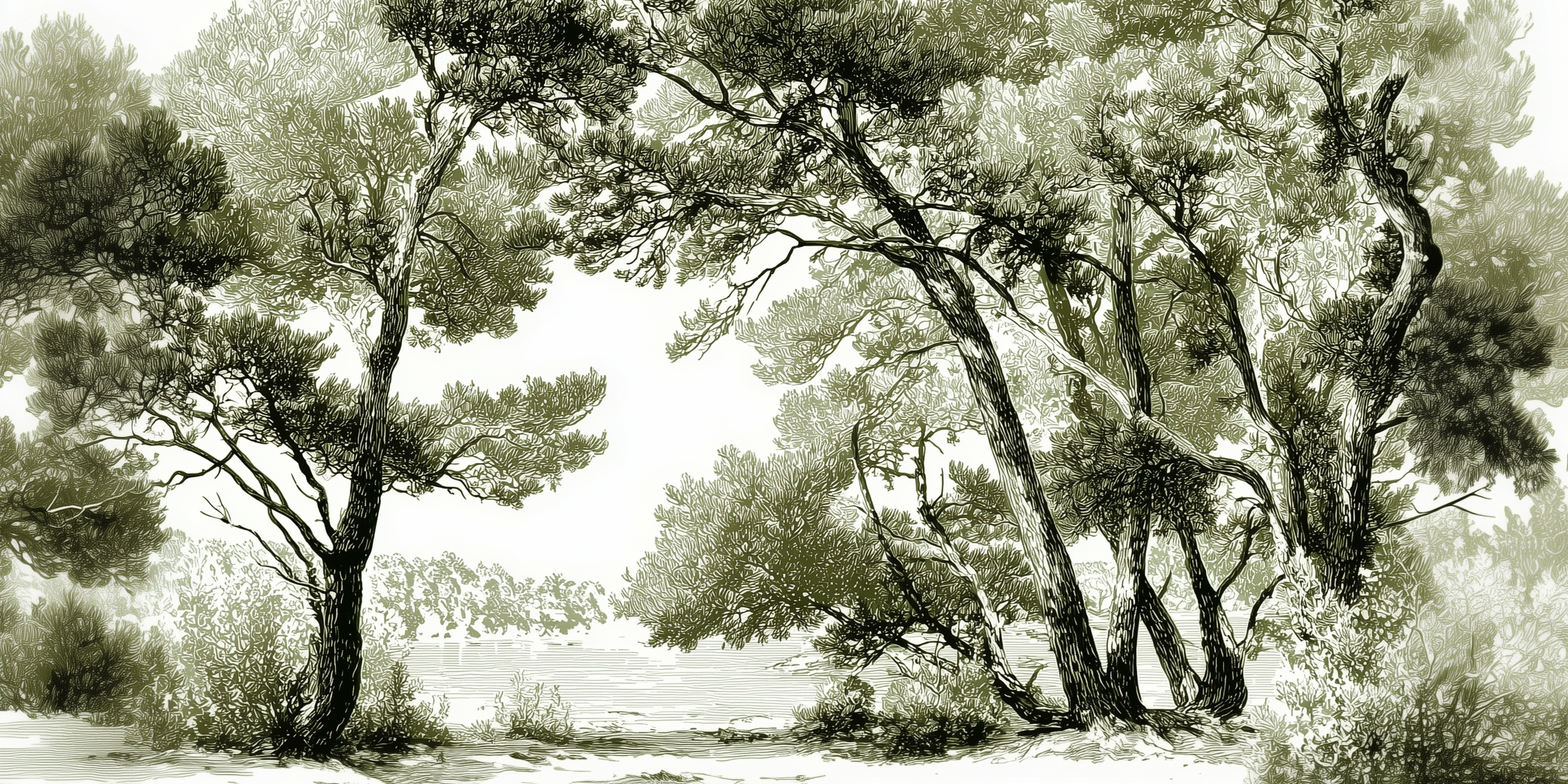 Les pins du lac