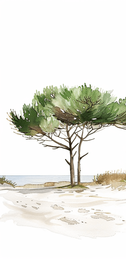 Image croppée