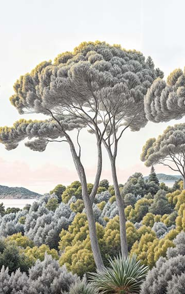 Image croppée
