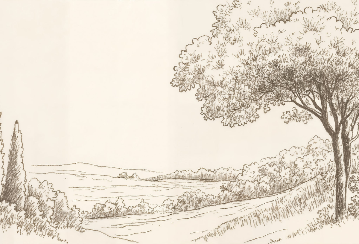 Image croppée
