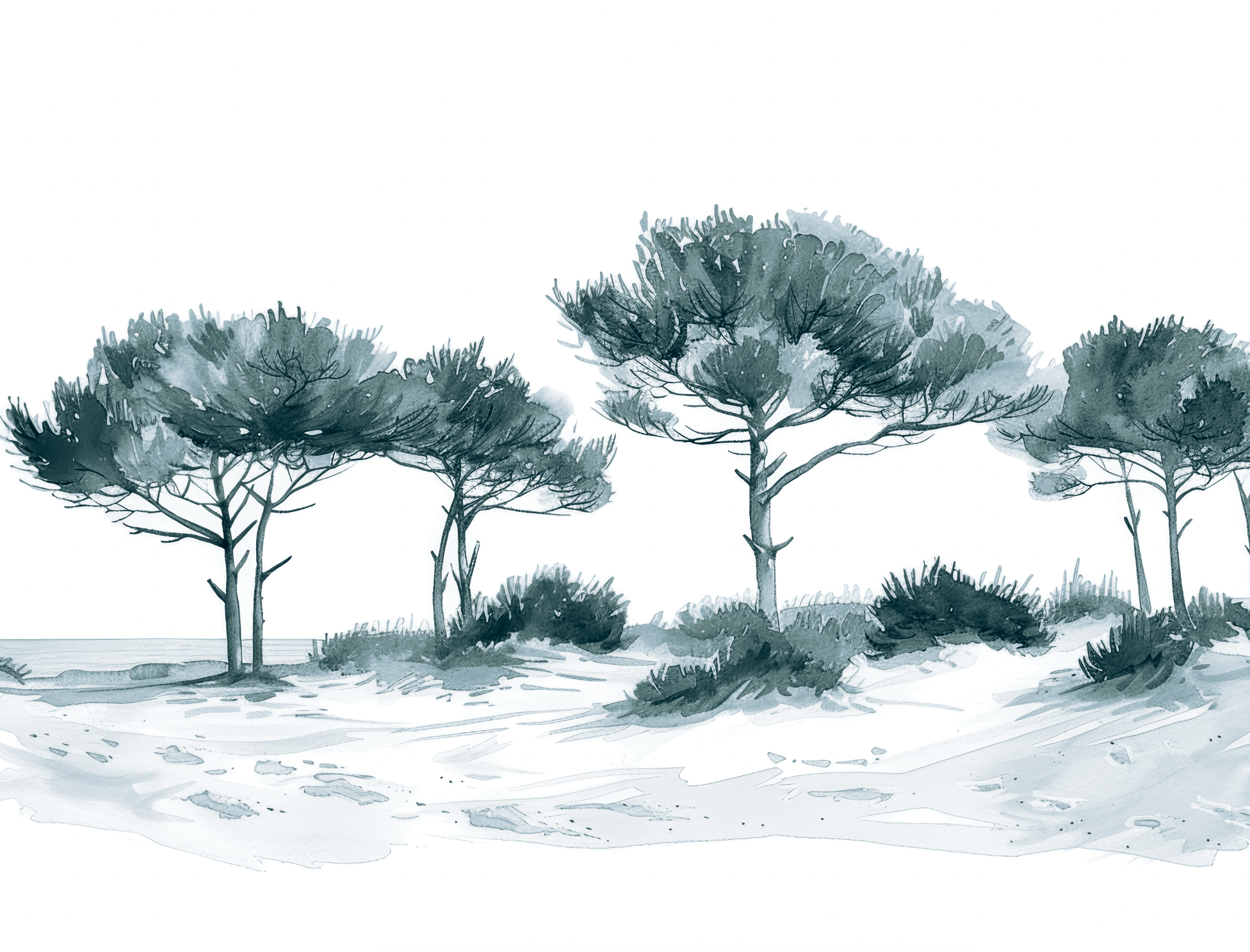 Les Pins de la Plage Bleu gris