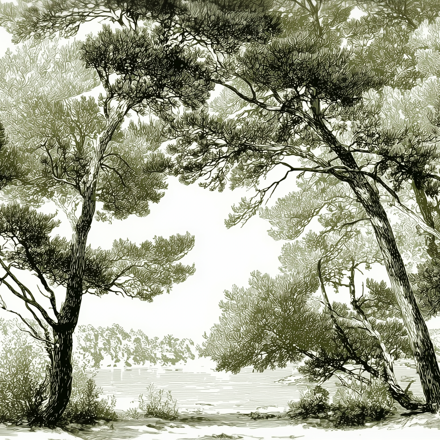 Image croppée