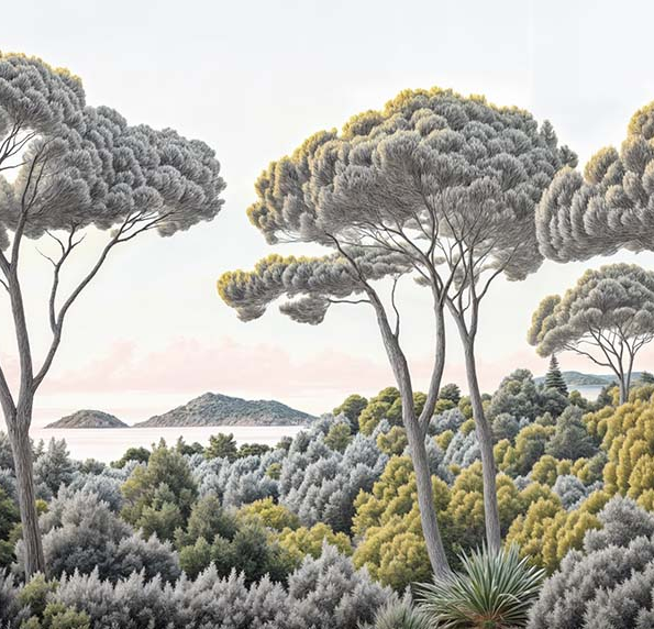Image croppée