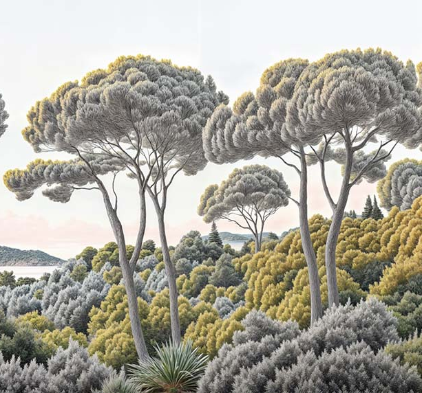 Image croppée