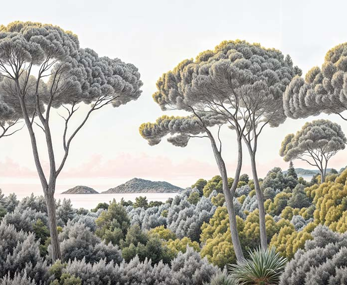 Image croppée
