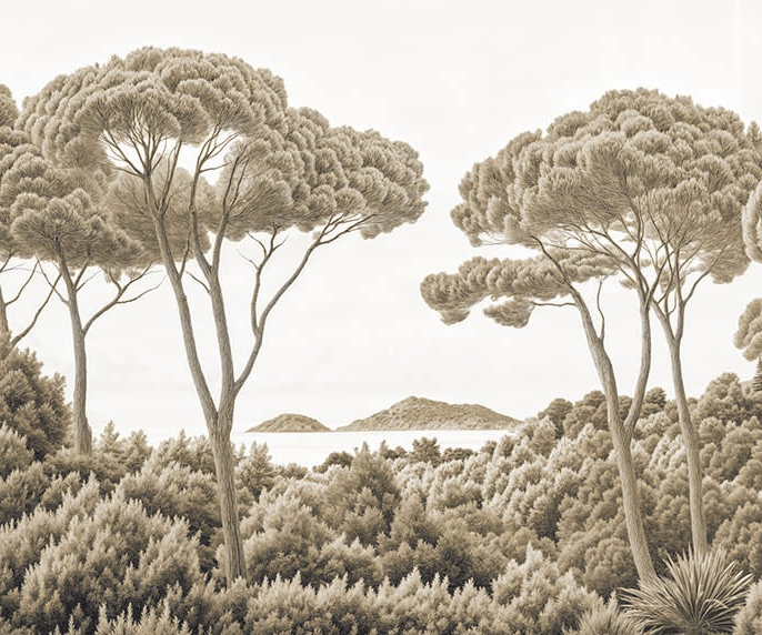 Image croppée