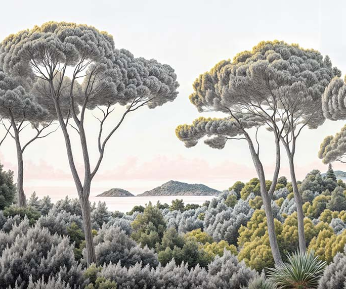 Image croppée