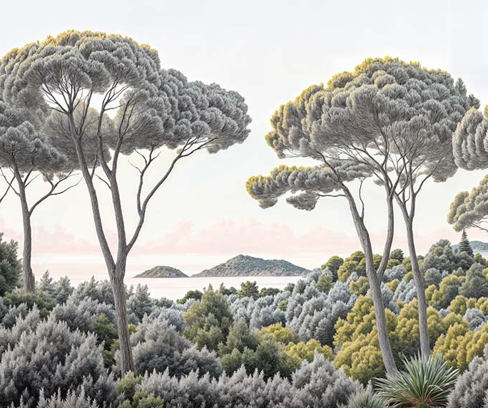 Image croppée